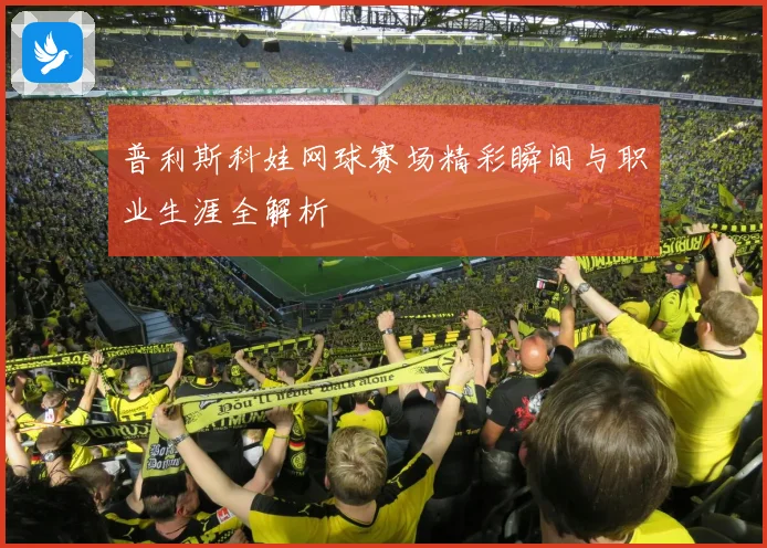 普利斯科娃网球赛场精彩瞬间与职业生涯全解析
