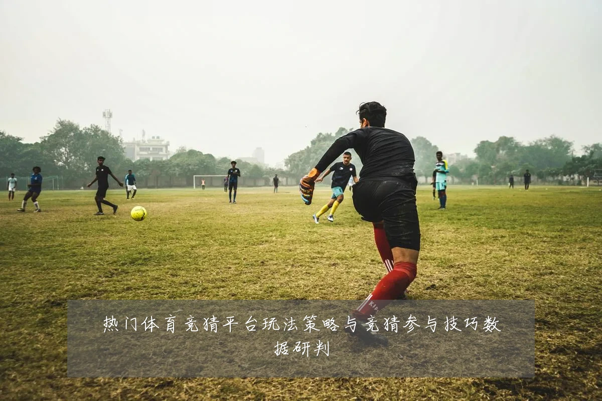 热门体育竞猜平台玩法策略与竞猜参与技巧数据研判