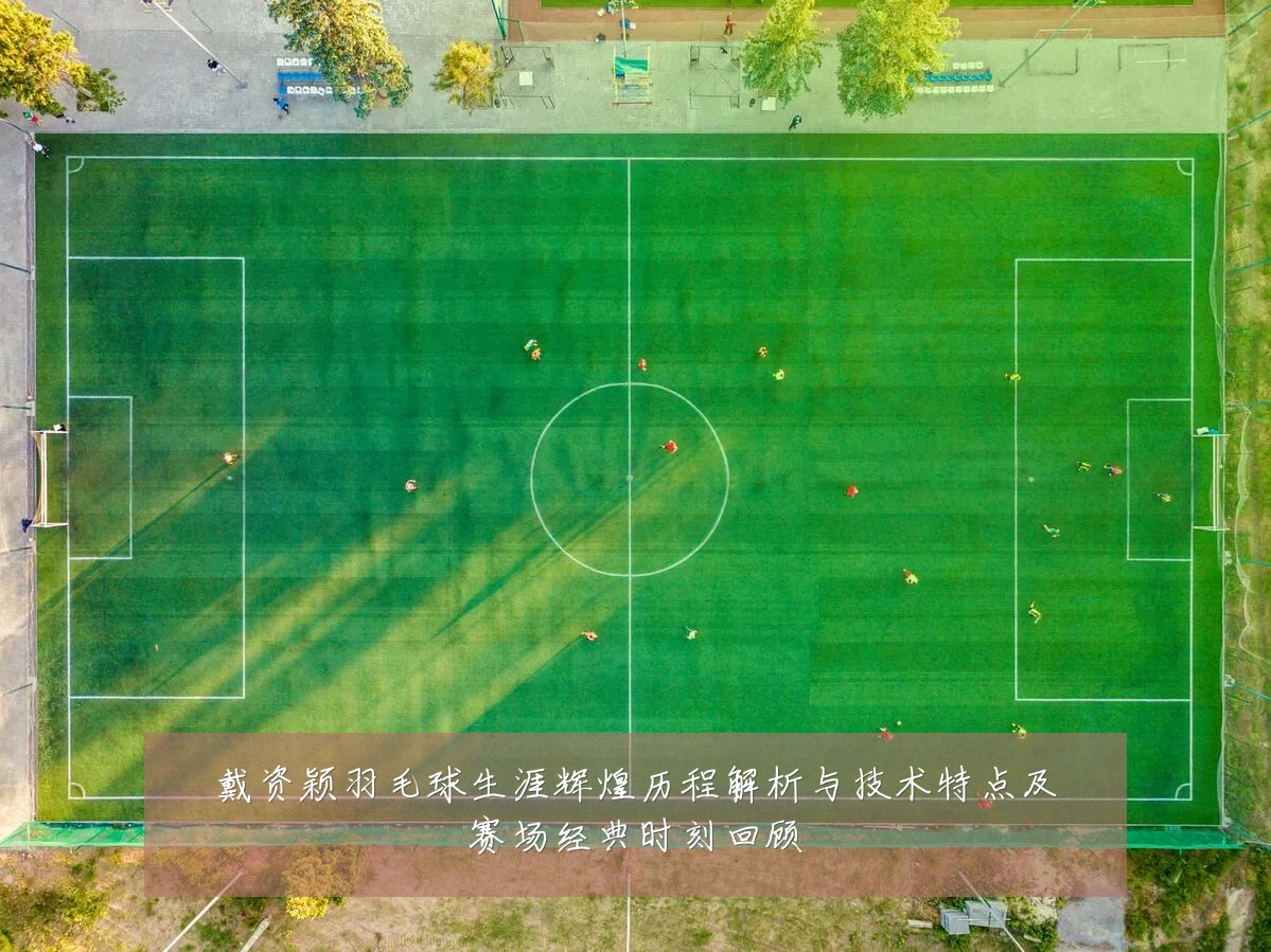 戴资颖羽毛球生涯辉煌历程解析与技术特点及赛场经典时刻回顾