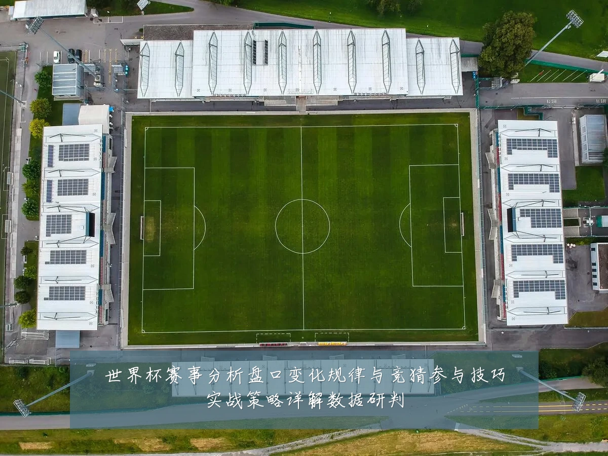 世界杯赛事分析盘口变化规律与竞猜参与技巧实战策略详解数据研判